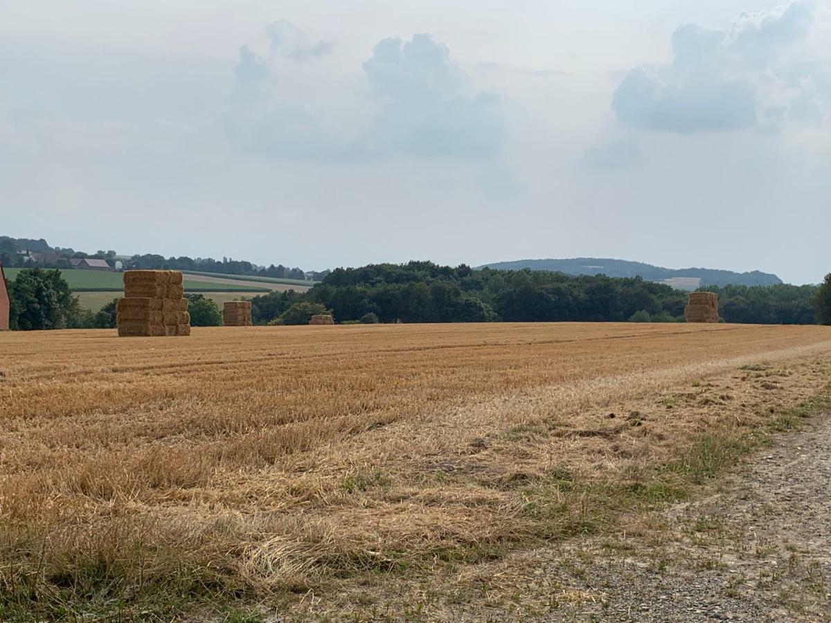 Ferienwohnung Am Bramschebach Lohne  Bagian luar foto